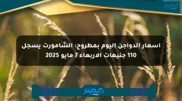 أسعار الدواجن اليوم بمطروح: الشامورت يسجل 110 جنيهات الأربعاء 7 مايو 2025